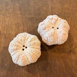 Ceramic Sea Urchin Salt and Pepper Shakers